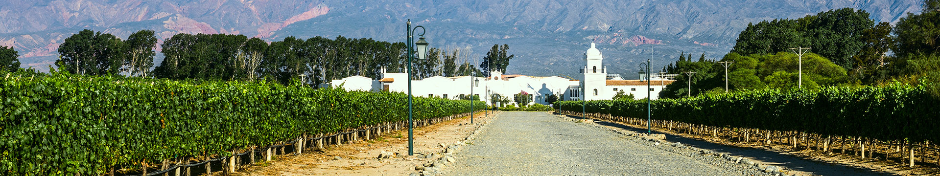 Wijngebied rond Cafayate